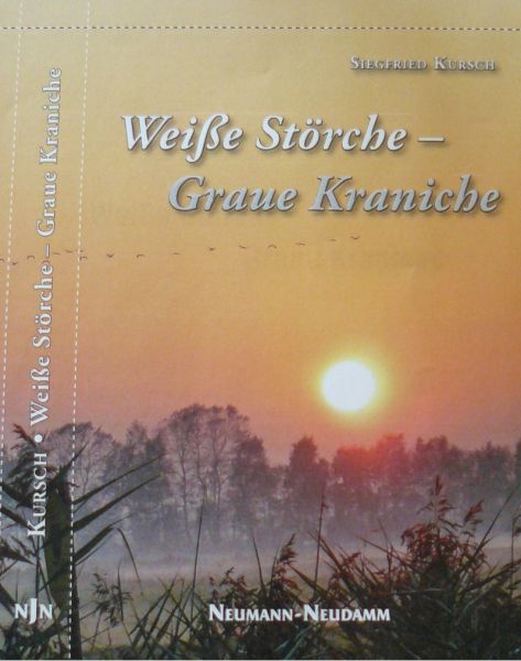 weisse_stoerche_graue_kraniche_w800px.jpg