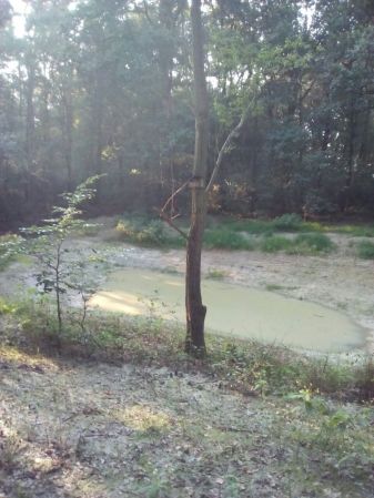 Biotopverbesserung vor Ort