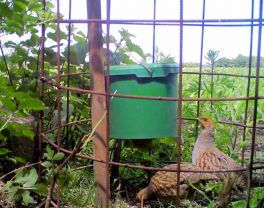 Ein Beispiel für vor Ort praktizierten Artenschutz