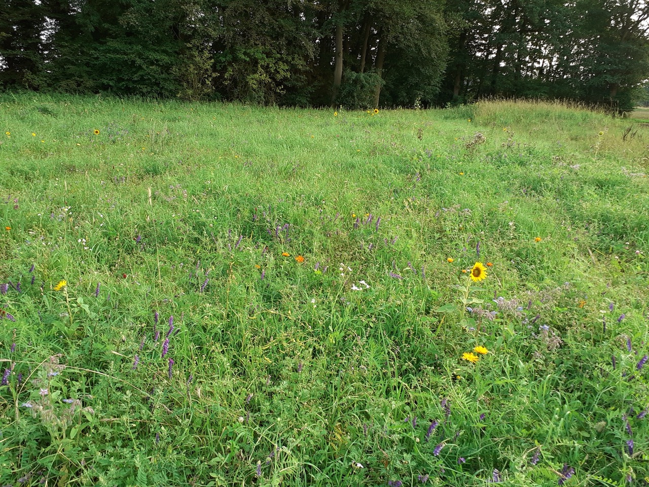 Groß__20230816_191423_.jpeg