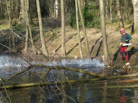 P1020620.JPG