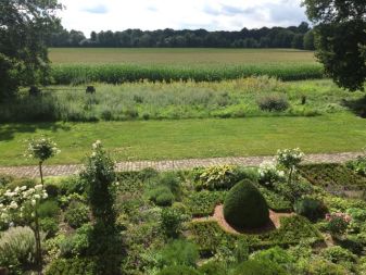 Wildackerflächen aus der Saatgutaktion